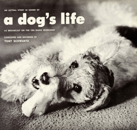 An Actual Story in Sound of a Dog's Life