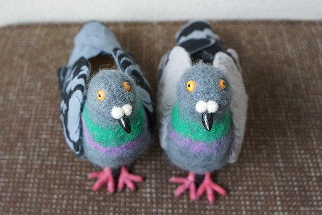 Pigeon Shoes