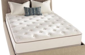 http://www.whatsthebestbed.org/which-memory-foam-mattress-performs-best-traditional-gel-plant-based/