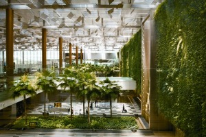 The vertical 'green wall' garden in Terminal 3 at Changi Airport.