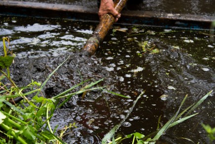 Tejidos en el agua: agroecología de humedales en México-Tenochtitlán