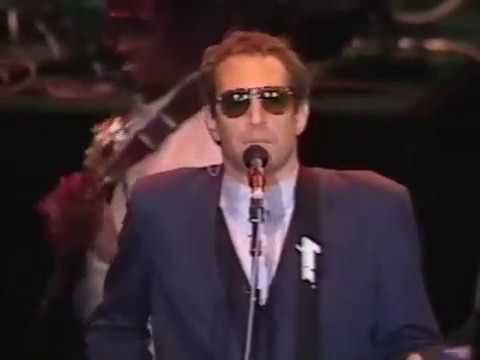 Steely Dan live at Shoreline Amphitheater, Mountain View, CA 1993