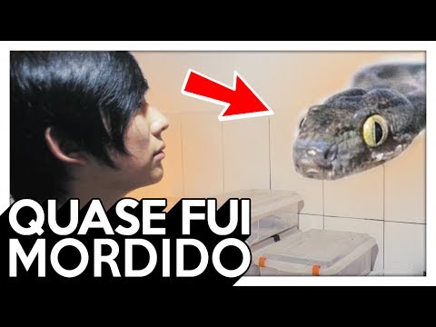 UMA COBRA QUASE ME MORDEU, CONHECENDO OS ANIMAIS DO RICHARD - 289