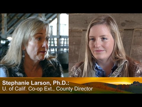 Emma Briggs & Gene Harlan, DVM talk about local sustainable cattle ranching