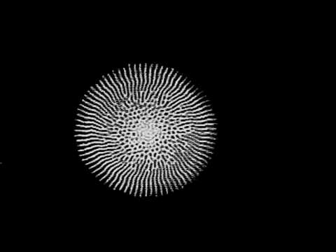 Generating Random Fractals.mov