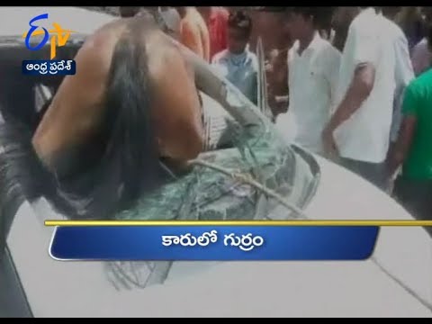 Andhra Pradesh | 5th June 2017 | Ghantaravam 12 Noon News Headlines