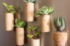 Succulent planter magnets : <a href="https://www.upcyclethat.com/cork-planters/3086/" target="_blank">upcyclethat.com</a>