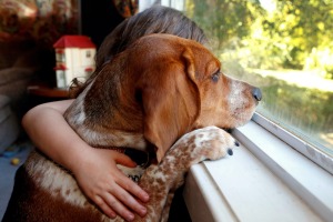 Some children describe their pets as siblings or best friends, so how do they grieve the loss of a much loved pet?