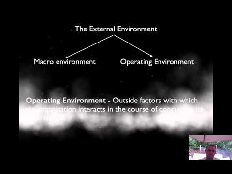 Lesson 4: The internal and external operating environments