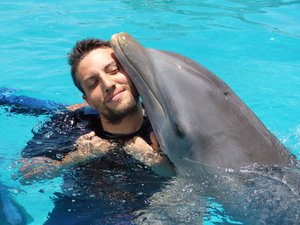 Tursiops truncatus (captive) , The Photographer with dolphin, Margarita island, Venezuela