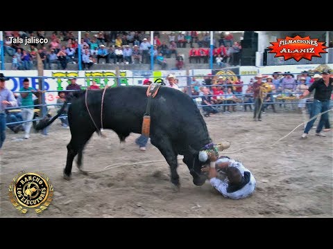 ¡LE DIO BATALLA PERO AL FINAL!…¡¡¡LO PISO!!!  ESTE CHILENITO DE RANCHO LOS EJECUTORES  A CHUBASCO