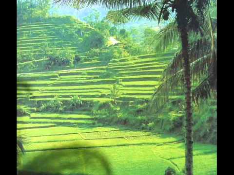 The Balinese traditional Bambu & flute Music.