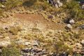 The SOS sign spotted by a pilot in the Kimberley.