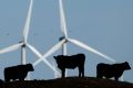 No bull: Australians strongly support more renewable energy.