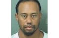 Tiger Woods' mugshot after being arrested on a DUI charge.