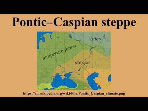 Pontic–Caspian steppe