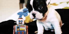 toy robot and puppy