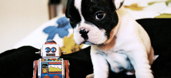 toy robot and puppy