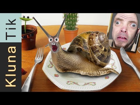 Eating a GIANT SNAIL and CACTUS  |#22 KLUNATIK COMPILATION    ASMR eating sounds no talk