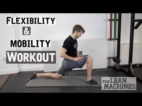 Flexibility and Mobility Workout (20 min)