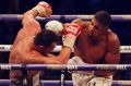 On his way: British boxer Anthony Joshua, right, fights Ukrainian boxer Wladimir Klitschko for Joshua's IBF and the ...