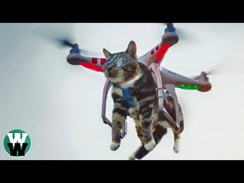 10 STUPID Things People Have Done with DRONES!