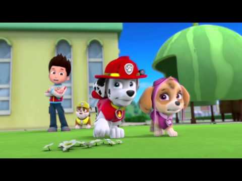 Marshall (from PAW Patrol) in action (hall of fame)