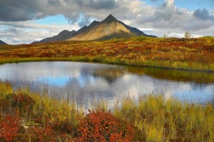 Ogilvie Mountains in Tombstone Territorial Park, Yukon.