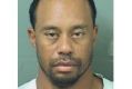 Tiger Woods' mugshot after being arrested on a DUI charge.