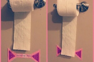 his 'You shall not pass' sign gives kids a visual for how much toilet paper they should take. <a ...