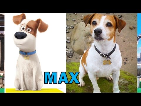 The Secret Life Of Pets REAL LIFE All Characters