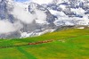 The train from Jungfraujoch station on the move to Kleine Scheidegg.