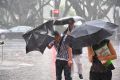 A weekend of wild wet weather hits parts of NSW.