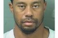 Tiger Woods' mugshot after being arrested on a DUI charge.