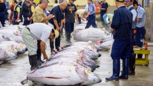 The tuna auction at Tsukiji Market. If you want to be one of the few tourists allowed to see it, you'd best arrive at 3am.