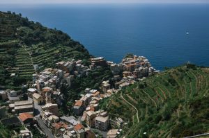 Terraces surround Manarola, one of the five villages that make up the famed Cinque Terre on Italy's northwestern coast.