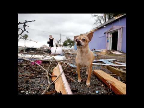 New Orleans Tornado | Tornado hits New Orleans 2017 | Latest | Breaking News