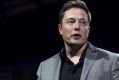 Tesla Motors chairman and chief executive Elon Musk: Full of promises but not enough action.