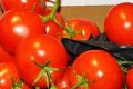 Tomato prices were expected to halve within 10 days, Bowen Gumlu Growers Association president Carl Walker said.