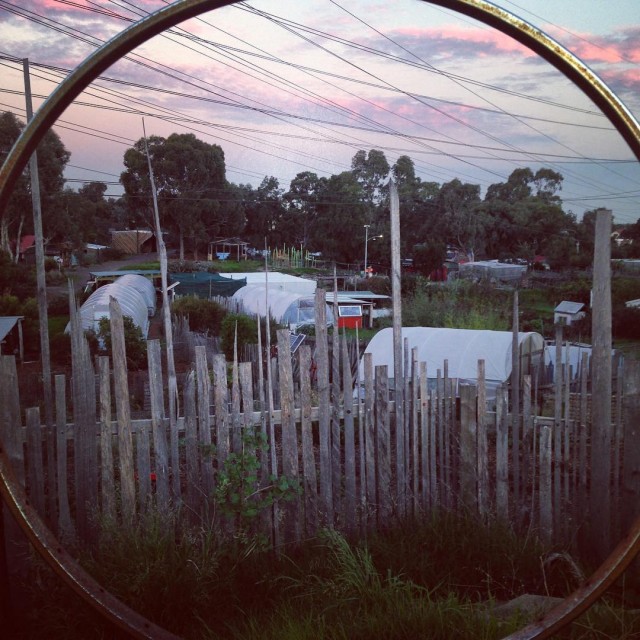 Dusk over the park Chooks are heading to bed pairshellip