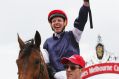 Best year: Kerrin McEvoy returns on Almandin after winning the Melbourne Cup.