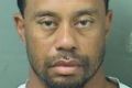 Tiger Woods' mugshot after being arrested on a DUI charge.