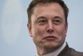 Tesla chief Elon Musk just gained a massive and well-connected confidant.