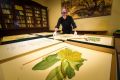 Des Cowley with some of the prints made from the original copper plates produced after Captain Cook's Endeavour returned ...