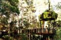 An artist's impression of the new treehouse at the Australian National Botanic Gardens in Canberra.