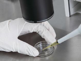 Close-up of laboratory technician putting some substance into Petri dish Picture: iStock