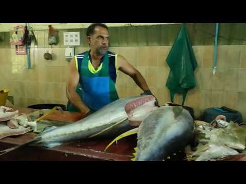 Cleaning a 50Kg tuna at the fish market in Malé, The Maldives