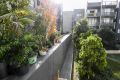 The wall separating the public housing (left) from private apartments and their exclusive garden at the Carlton development. 