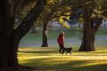 A woman walks through Moore Park, Sydney, at sunrise.  