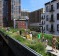 High Line, New York.